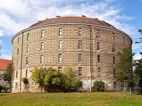 Башня дураков - музей патологоанатомии Вена